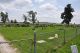 Slagle Cemetery, Brighton, MO.jpg Slagle Cemetery, Brighton, MO.jpg